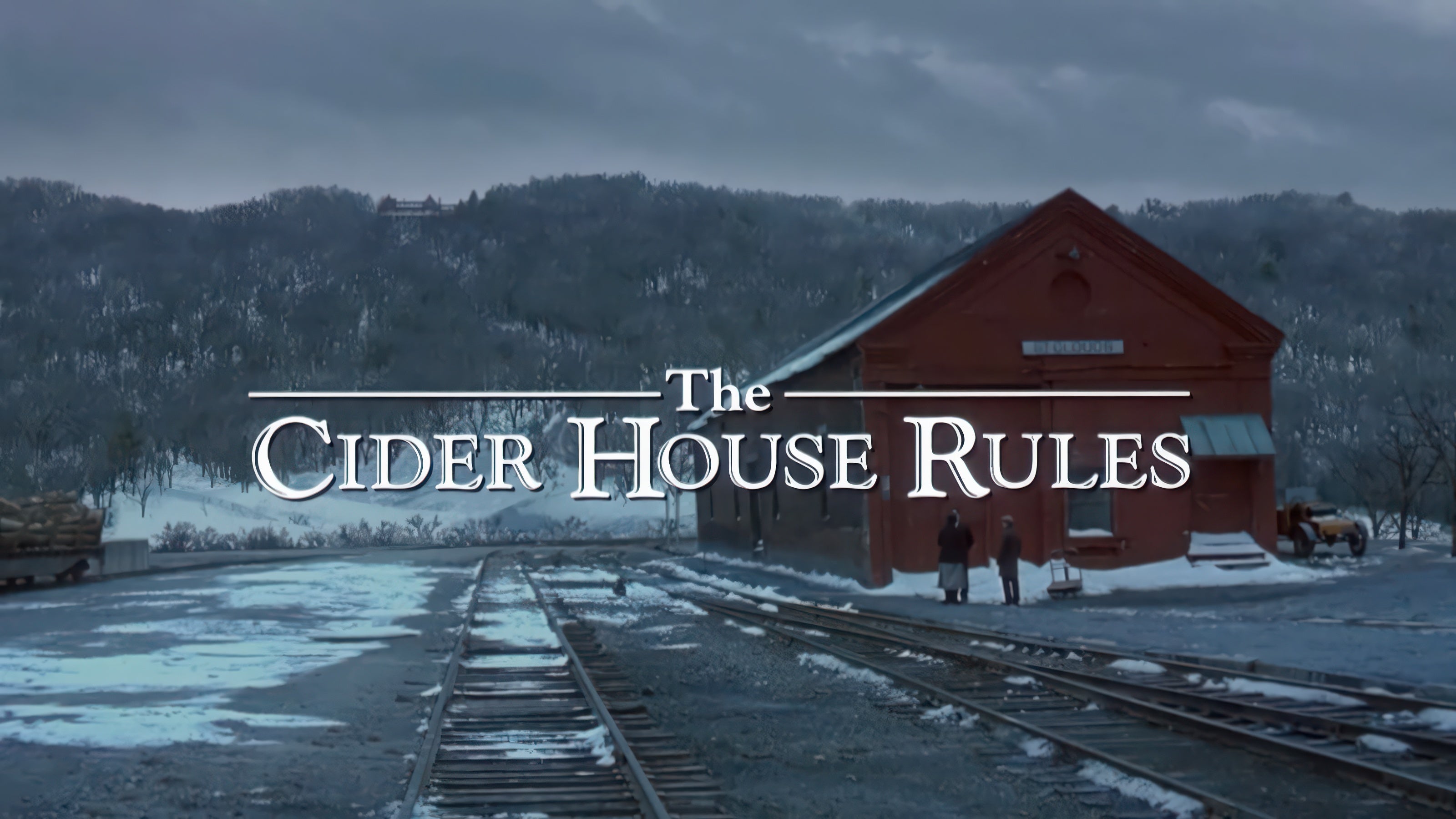 The Cider House Rules (Book Notes)